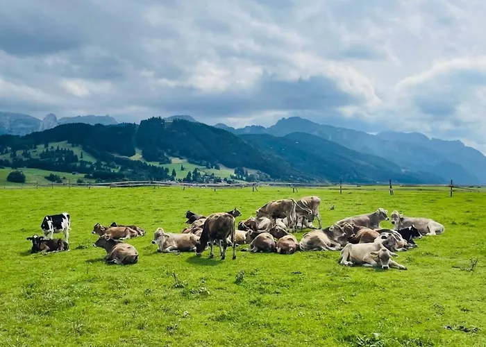 Alpenblick 4, Im Allgäu, Bergblick Pur - Neueröffnung! Apartment *