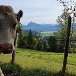 Apartment Alpenblick 4, Bergblick Pur im Allgäu