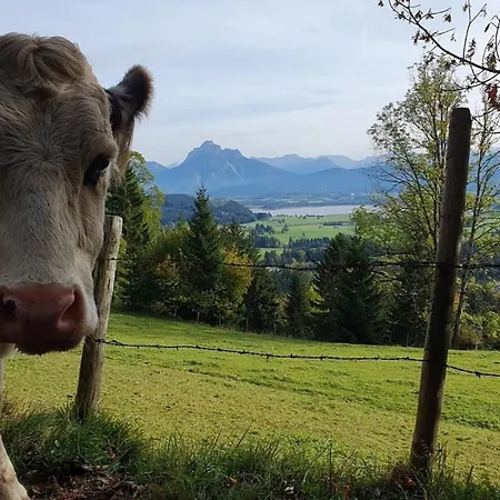 Alpenblick 4, Bergblick Pur Im Allgäu