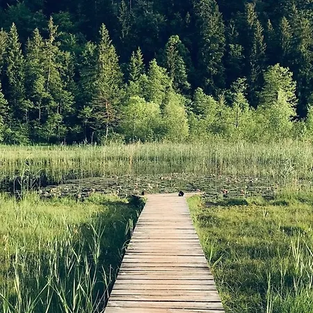 Alpenblick 4, Halblech Im Allgaeu, Bergblick Pur - Neueroeffnung! Berghof