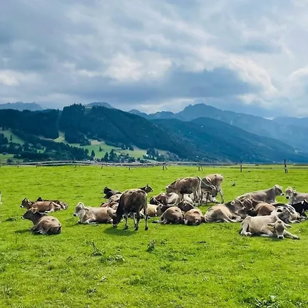 Alpenblick 4, Bergblick Pur Im Allgäu Apartment *