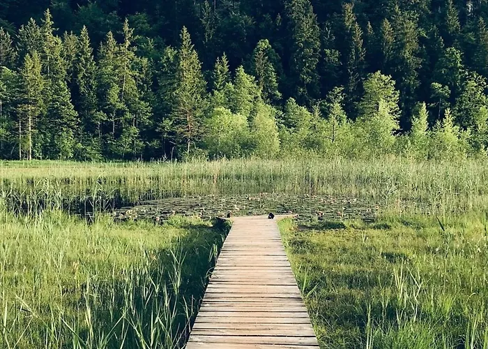 Alpenblick 4, Im Allgaeu, Bergblick Pur - Neueroeffnung! Halblech